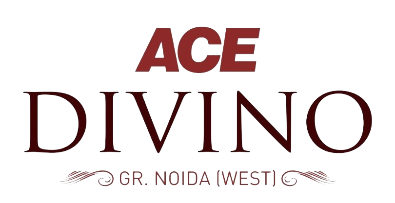 ACE Divino AOA logo